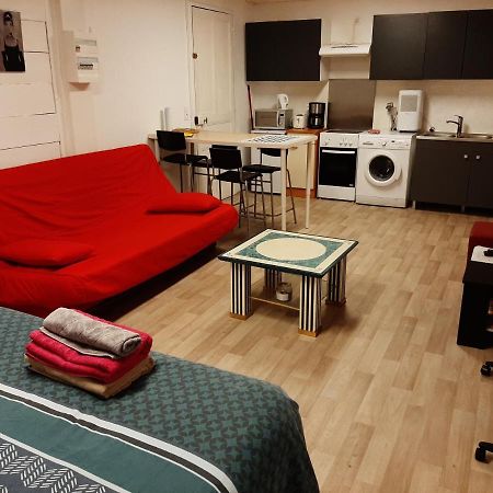 Studio 35M2 Terrasse Et Jardin Quartier Calme Au Centre Ville De Lourdes Ngoại thất bức ảnh